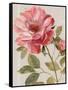 Harmonious Rose Linen-Lisa Audit-Framed Stretched Canvas