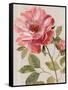 Harmonious Rose Linen-Lisa Audit-Framed Stretched Canvas