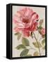 Harmonious Rose Linen-Lisa Audit-Framed Stretched Canvas