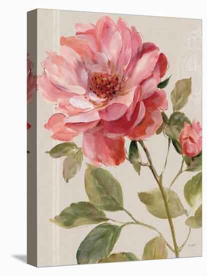 Harmonious Rose Linen-Lisa Audit-Stretched Canvas