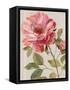 Harmonious Rose Linen-Lisa Audit-Framed Stretched Canvas