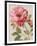 Harmonious Rose Linen-Lisa Audit-Framed Art Print