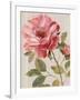Harmonious Rose Linen-Lisa Audit-Framed Art Print