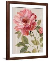 Harmonious Rose Linen-Lisa Audit-Framed Art Print