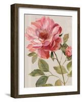 Harmonious Rose Linen-Lisa Audit-Framed Art Print