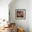 Harmonize-Kristin Nelson-Framed Giclee Print displayed on a wall