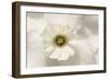 Harmony Floral-Ben Wood-Framed Giclee Print