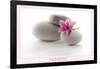 Harmony (Flower & Stones) Art Poster Print-null-Framed Poster