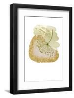 Harmony Green and Gold-Sally Ann Moss-Framed Photographic Print