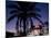 Harmony Hotel, Twentynine Palms, California, United States of America, North America-Ethel Davies-Mounted Photographic Print