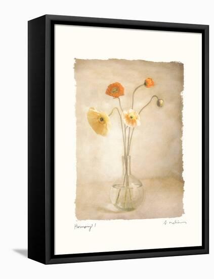 Harmony I-Amy Melious-Framed Stretched Canvas