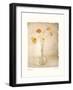 Harmony I-Amy Melious-Framed Art Print