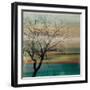 Harmony II-Anna Polanski-Framed Art Print