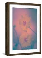Harmony in Light-Philippe Sainte-Laudy-Framed Photographic Print