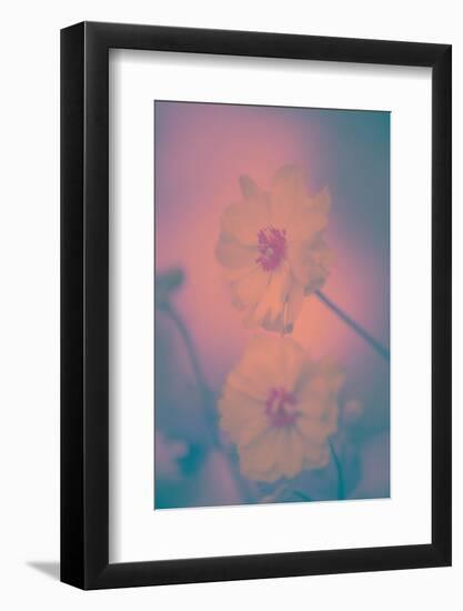 Harmony in Light-Philippe Sainte-Laudy-Framed Photographic Print