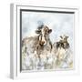 Harmony in the Pasture-null-Framed Art Print