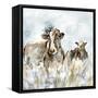 Harmony in the Pasture-null-Framed Stretched Canvas