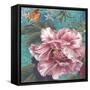 Harmony Pink-Bill Jackson-Framed Stretched Canvas