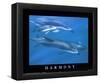 Harmony School of Dolphins-null-Framed Mini Poster