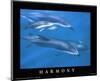 Harmony School of Dolphins-null-Mounted Mini Poster