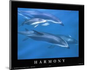 Harmony School of Dolphins-null-Mounted Mini Poster