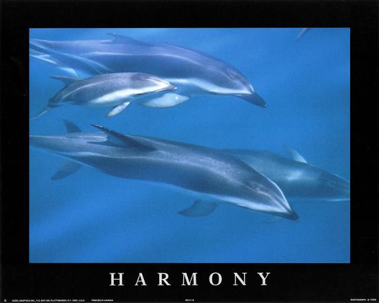 Mini Poster, , large