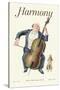 Harmony: When a Cello Needs a Friend-null-Stretched Canvas