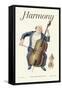 Harmony: When a Cello Needs a Friend-null-Framed Stretched Canvas