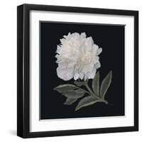 Harmony-Jan Sacca-Framed Art Print