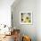 Harmony-Ursula Abresch-Framed Photographic Print displayed on a wall