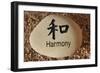 Harmony-photojohn830-Framed Premium Giclee Print