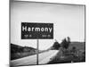 Harmony-John Gusky-Mounted Photographic Print