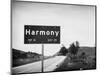 Harmony-John Gusky-Mounted Photographic Print