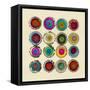 Harmony-Laura Van Horne-Framed Stretched Canvas