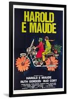 Harold and Maude, Italian poster, Ruth Gordon, Bud Cort, 1971-null-Framed Poster