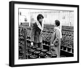 Harold and Maude-null-Framed Photo