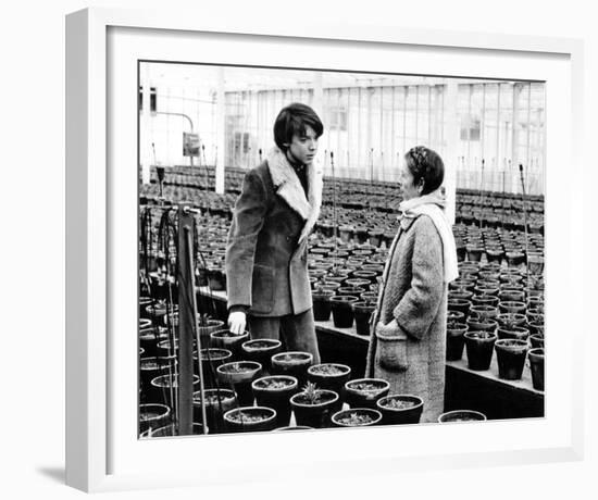 Harold and Maude-null-Framed Photo