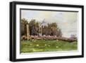 Black Frame