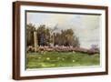 Brown Frame