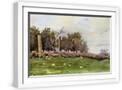 White Frame