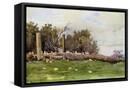 Canvas Black