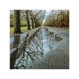 Park Reflections-Harold Davis-Giclee Print