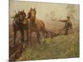Wood Mount