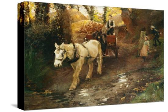 Stretched Canvas Print, , large