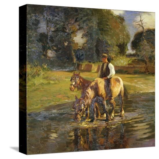 Stretched Canvas Print, , large