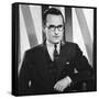 Harold Lloyd, American Film Actor, 1934-1935-null-Framed Stretched Canvas