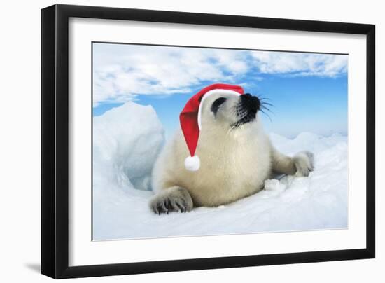 Harp Seal Baby Lying on Ice, Wearing Christmas Hat-null-Framed Photographic Print