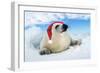 Harp Seal Baby Lying on Ice, Wearing Christmas Hat-null-Framed Photographic Print