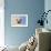 Harp Seal Baby-null-Framed Premium Photographic Print displayed on a wall