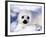 Harp Seal Pup, Gulf of St. Lawrence, Quebec, Canada-Michael DeFreitas-Framed Photographic Print